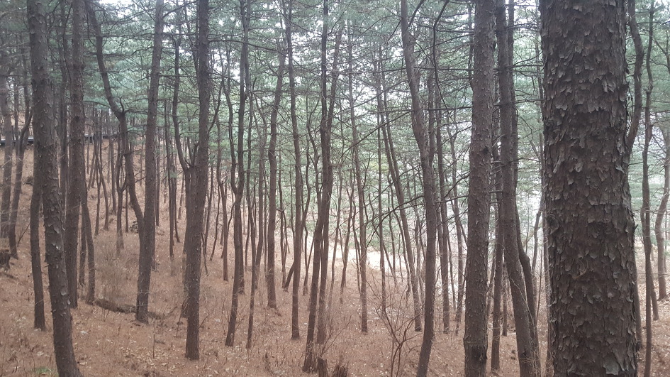 북한산 산행/2019.03.10