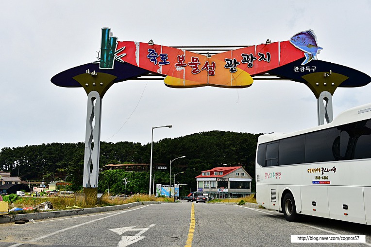 보령화원 이미지