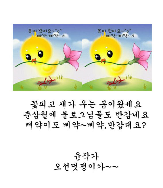 꽃피고 새가 우는 봄이왔네요?