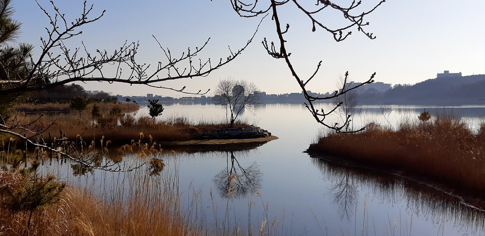 영랑호 호수변의 이쁜 반영을 담아 둡니다.