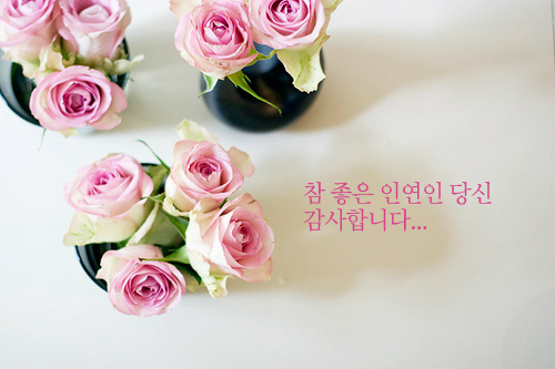 998329445B99B26B3A94A6