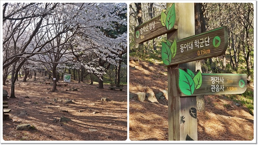부산 구봉산~엄광산~구덕산~승학산 등산코스
