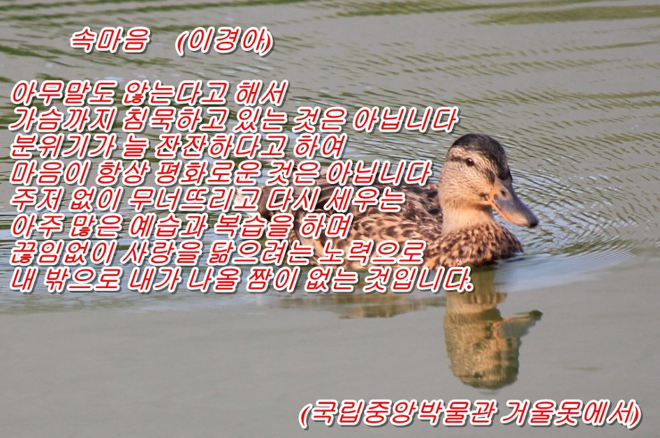 속마음  (이경아)    &    <풍경: 국립중앙박물관 거울못에서>