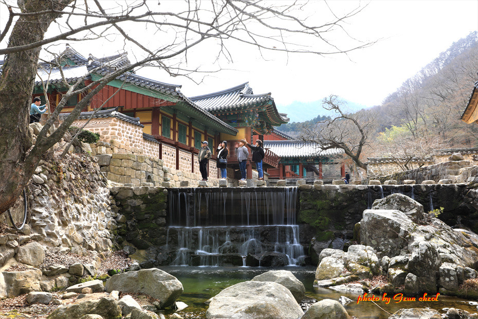 봄철 환경켐페인..2019.03.08