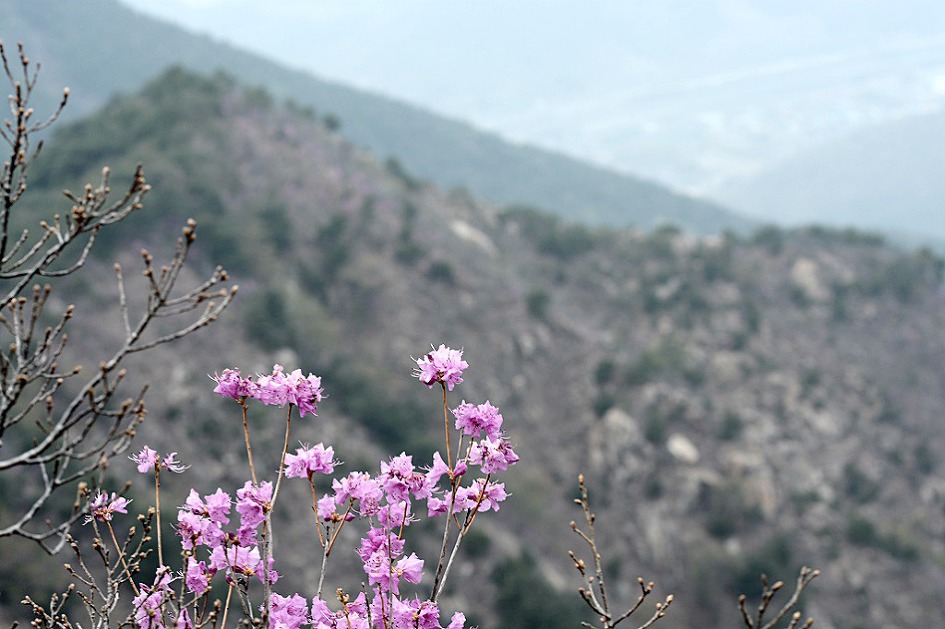 창녕 영취산