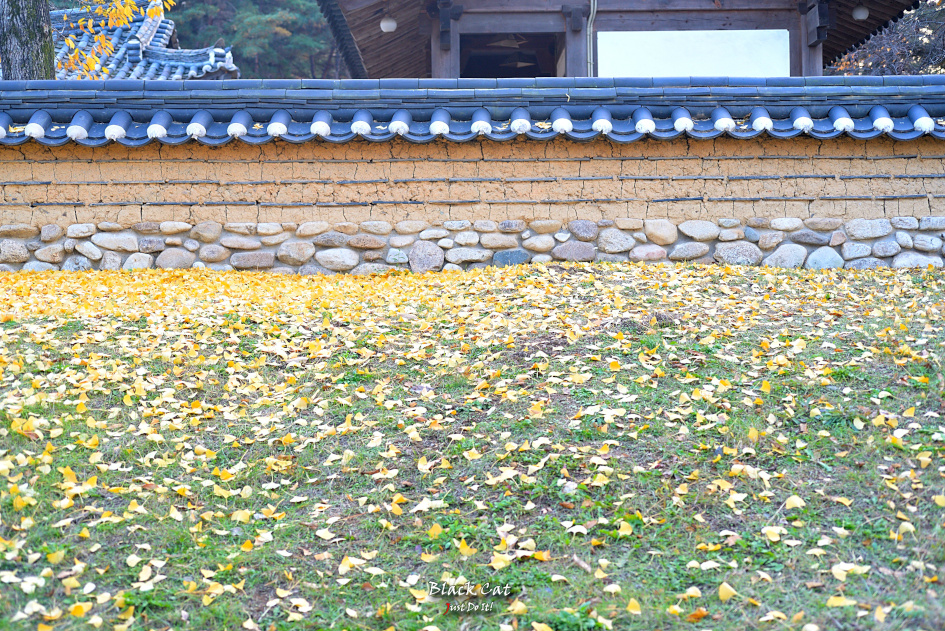 (DAY 22)따뜻하길