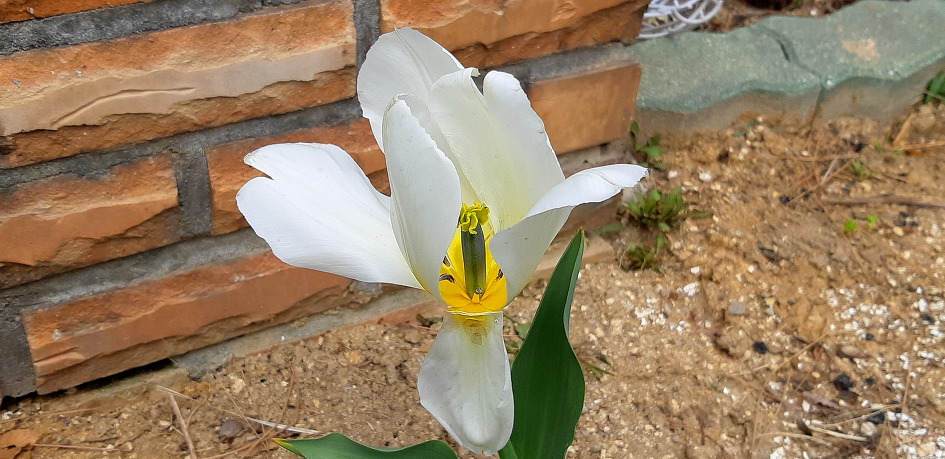 오랜만에 딸네 집으로 마실을 갔습니다.