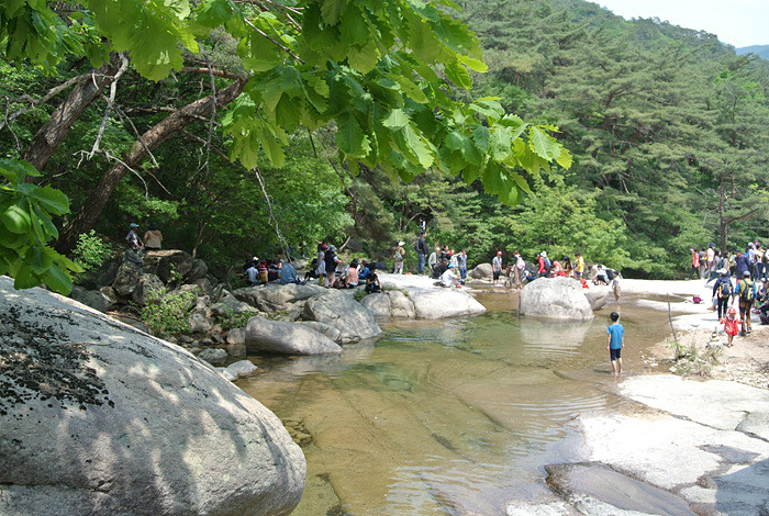 원본이미지(클릭)