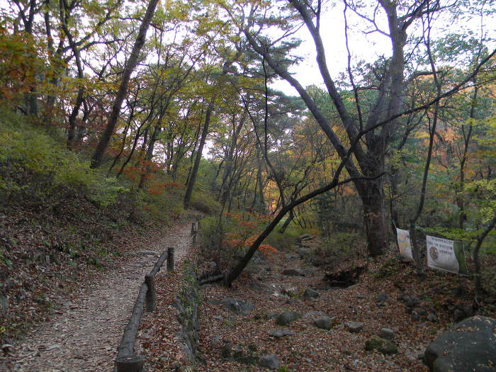 만추에 잠긴 북악산 백사실계곡 (백석동천, 백사폭포)
