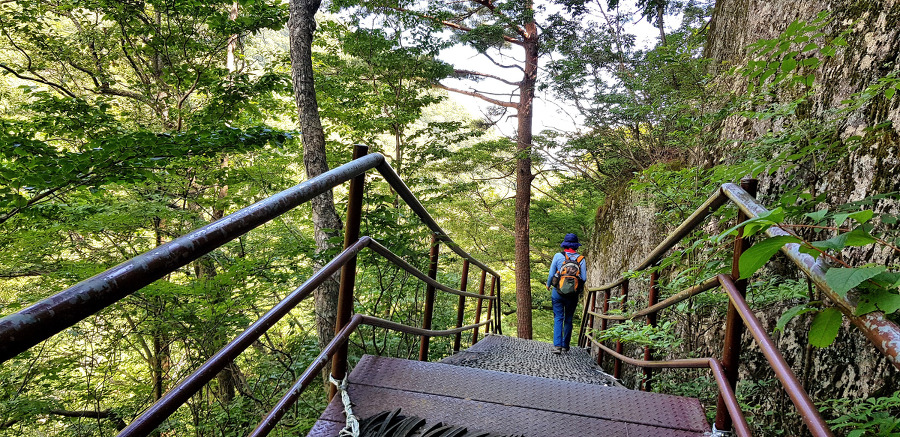 노고단에서 피아골로 내려가는 여름산행