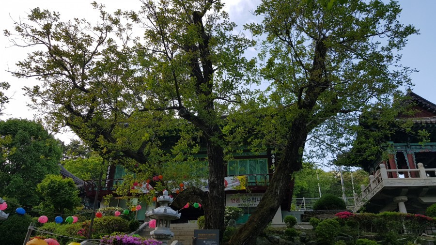 광덕산. 천안 광덕산. 천안 광덕산 등산지도. 천안 광덕산 등산코스