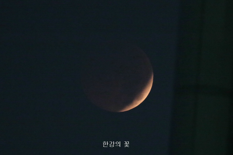 개기월식