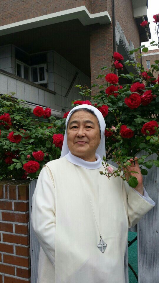 **   6월의  장미  / 이해인 수녀님  **