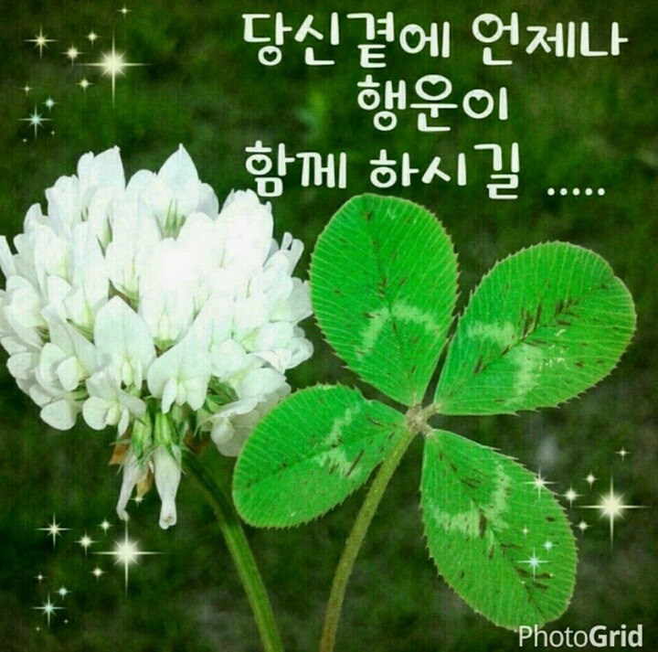 청정바람 이미지