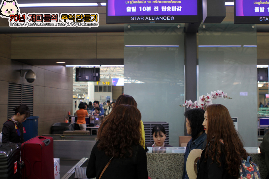 우리들항공여행사 이미지