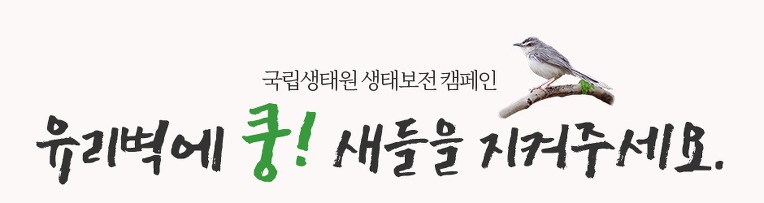 국립생태원 생태보전 캠페인 - 유리벽에 쿵! 새들을 지켜주세요.
