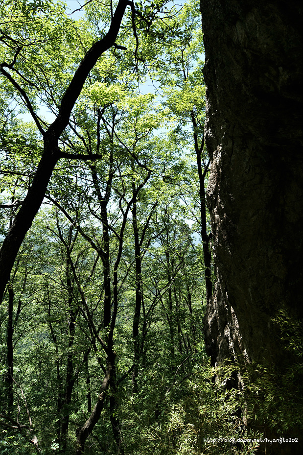 기해년 춘계 수도회 2 이미지