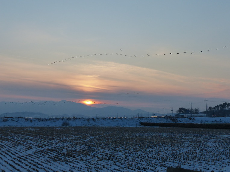 99DBDA4B5DF701473331C9