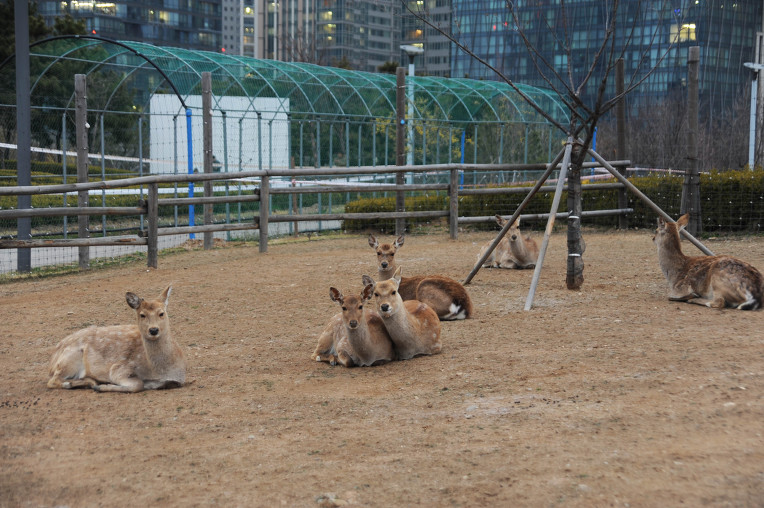 190406-센트럴파크 주 야경