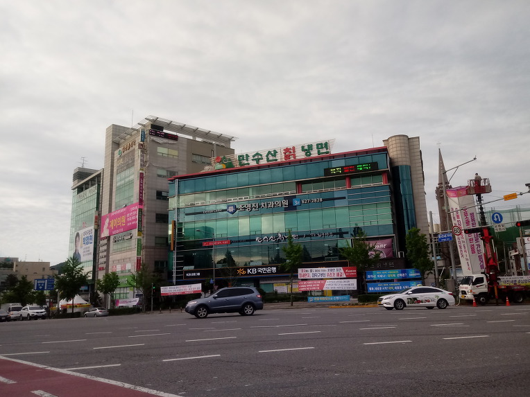 용쓴날