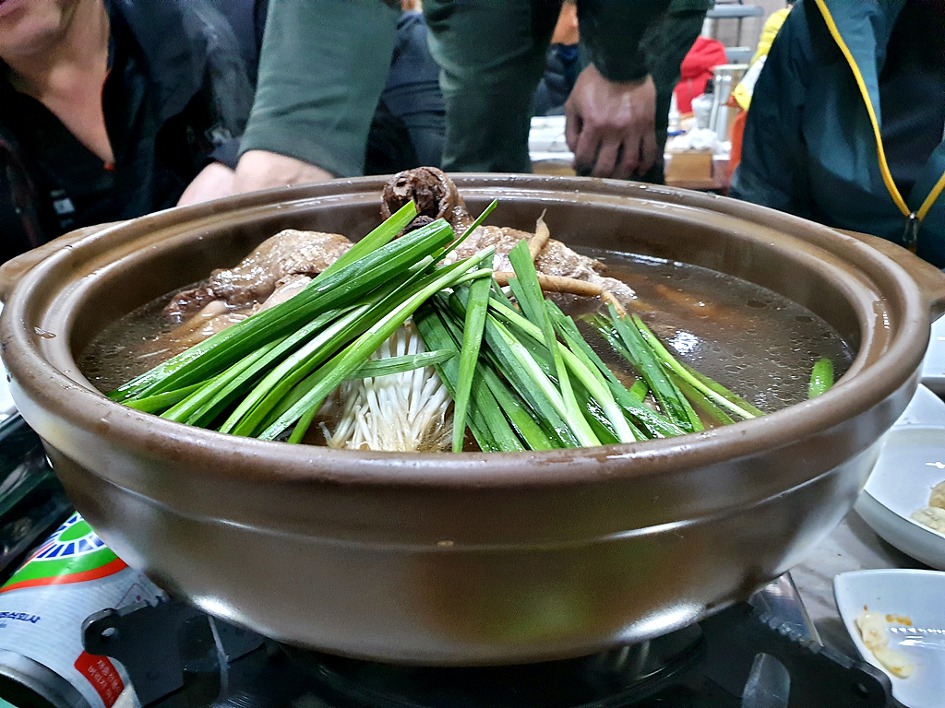 강진 주작산, 진달래 군락지로 봄의 향연 재촉