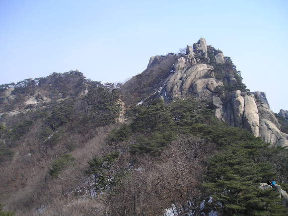 [하루 한문장]