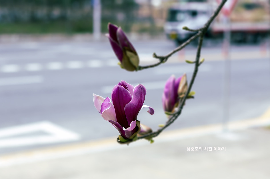 봄볕