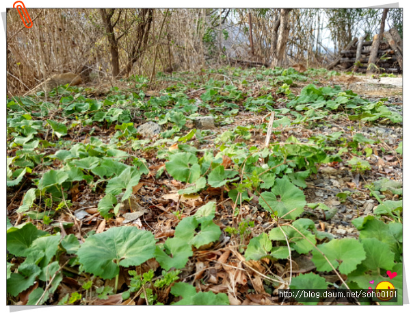맛과 생존의 기로에 선 ....