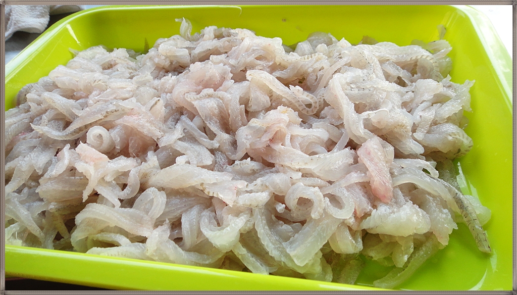 바다사랑닷컴